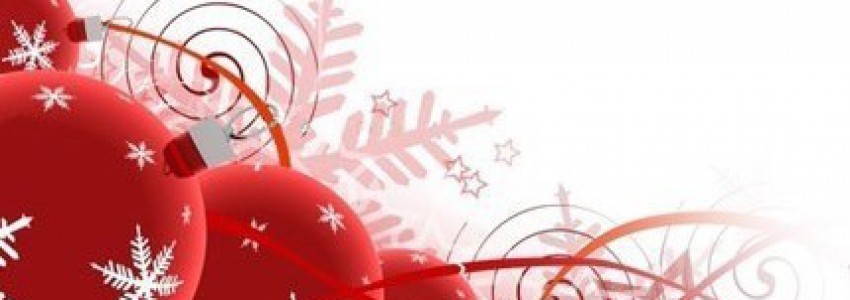 Nos Douceurs de Fêtes