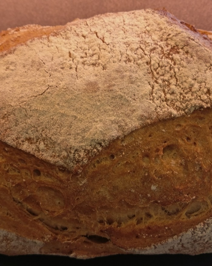 Pain d'Epeautre